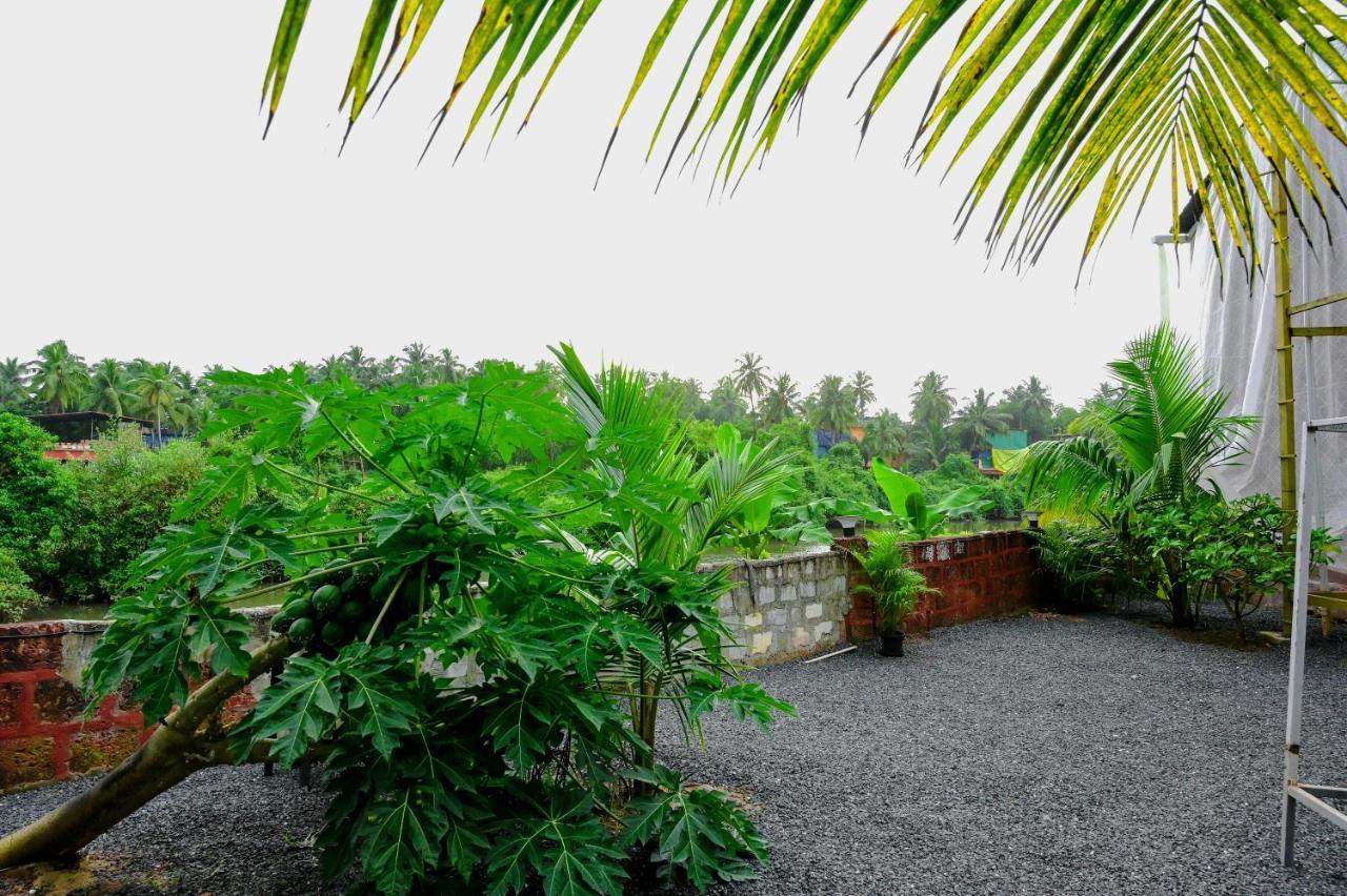 فندق Vedana Retreat أرامبول المظهر الخارجي الصورة